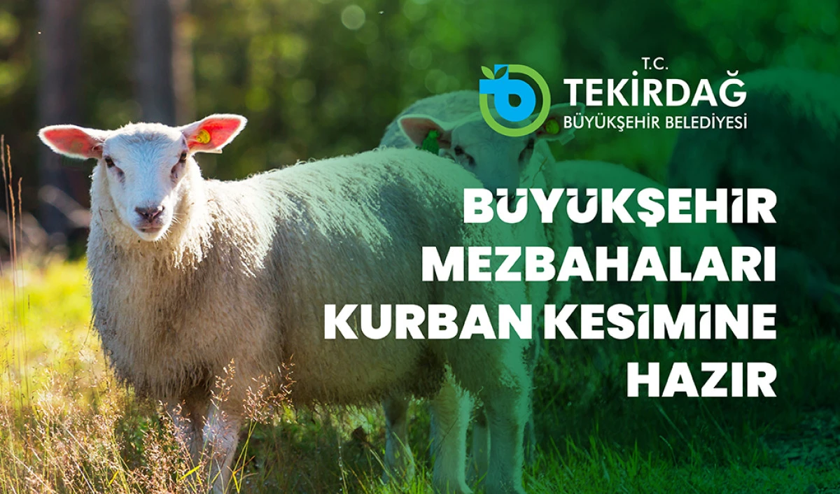 BÜYÜKŞEHİR MEZBAHALARI KURBAN BAYRAMI’NA HAZIR