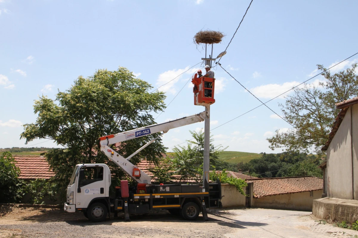 TREDAŞ, Leyleklerin Güvenli Dönüşü İçin Hazırlıklara Başladı